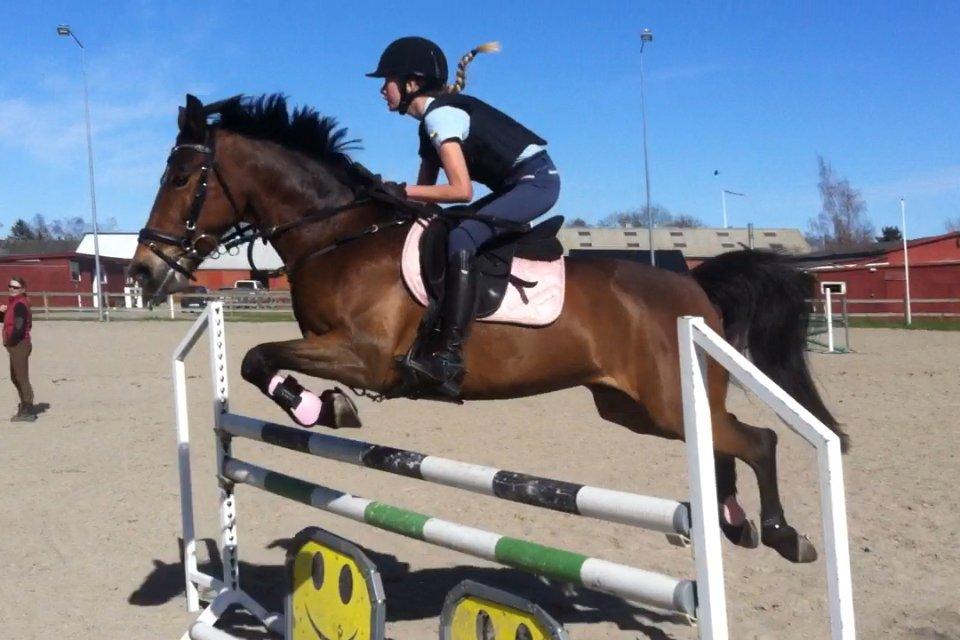 Anden særlig race Colombine (solgt) - Første springtræning ude med hende hjemme, og hun sprang det bedste hun længe havde gjort <3 MA* :-) Foto: Mig, ud af video billede 15