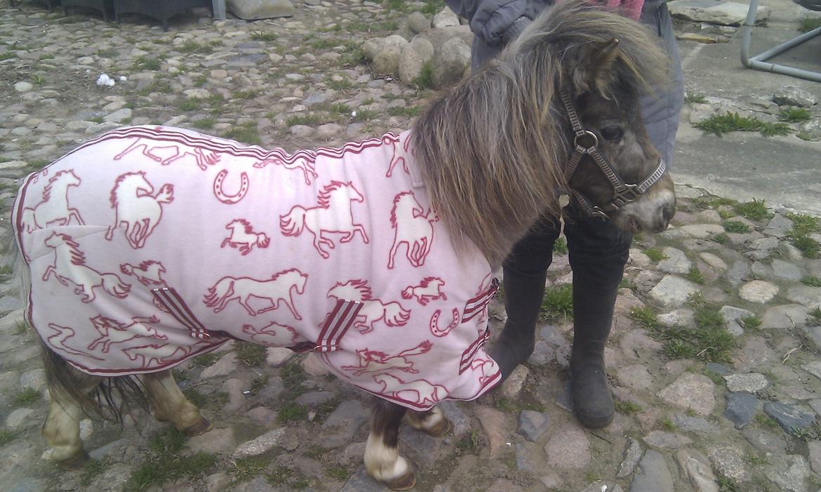 Miniature Bavaria Zuckerpuppe- Sukkertop - 5. Sukkertop med alt for stort dækken (i str 75cm haha). billede 5