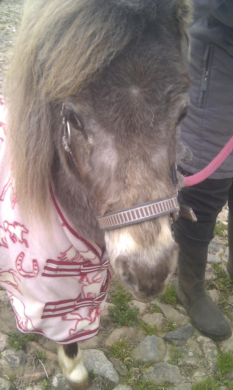 Miniature Bavaria Zuckerpuppe- Sukkertop - 4. Og endnu et. billede 4