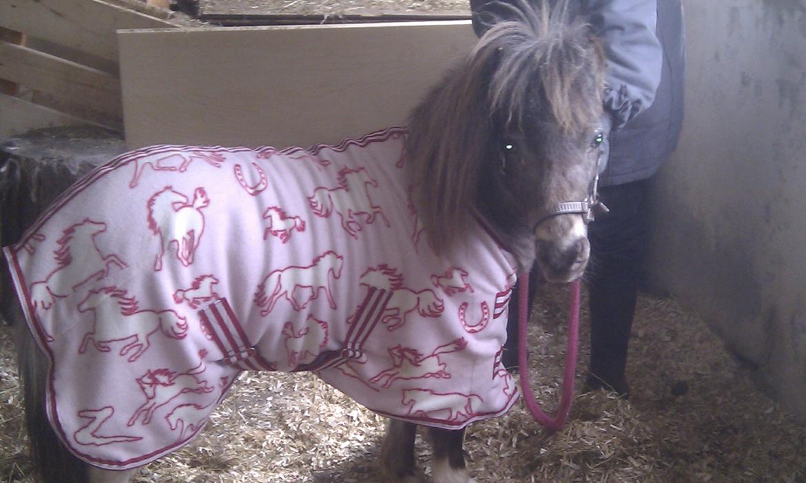 Miniature Bavaria Zuckerpuppe- Sukkertop - 6. Endnu et billede med dækken. billede 6