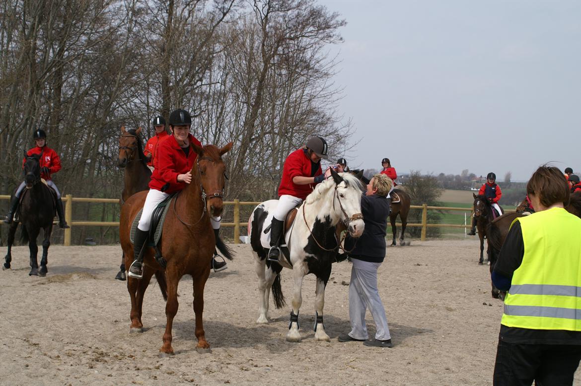 Tinker Tinka - Tykke :'D<3 - Jagt i Sds, d. 4 maj 2013.
Her får vi vores 2 plads! Vi kommer som nummer to i opløbet for "deltagede" :b Stolt miig!<3
Foto: Min far!:P billede 9