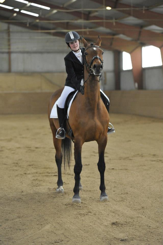 Trakehner Lalandia (Nulle) *RIP D. 24/7-15* billede 1