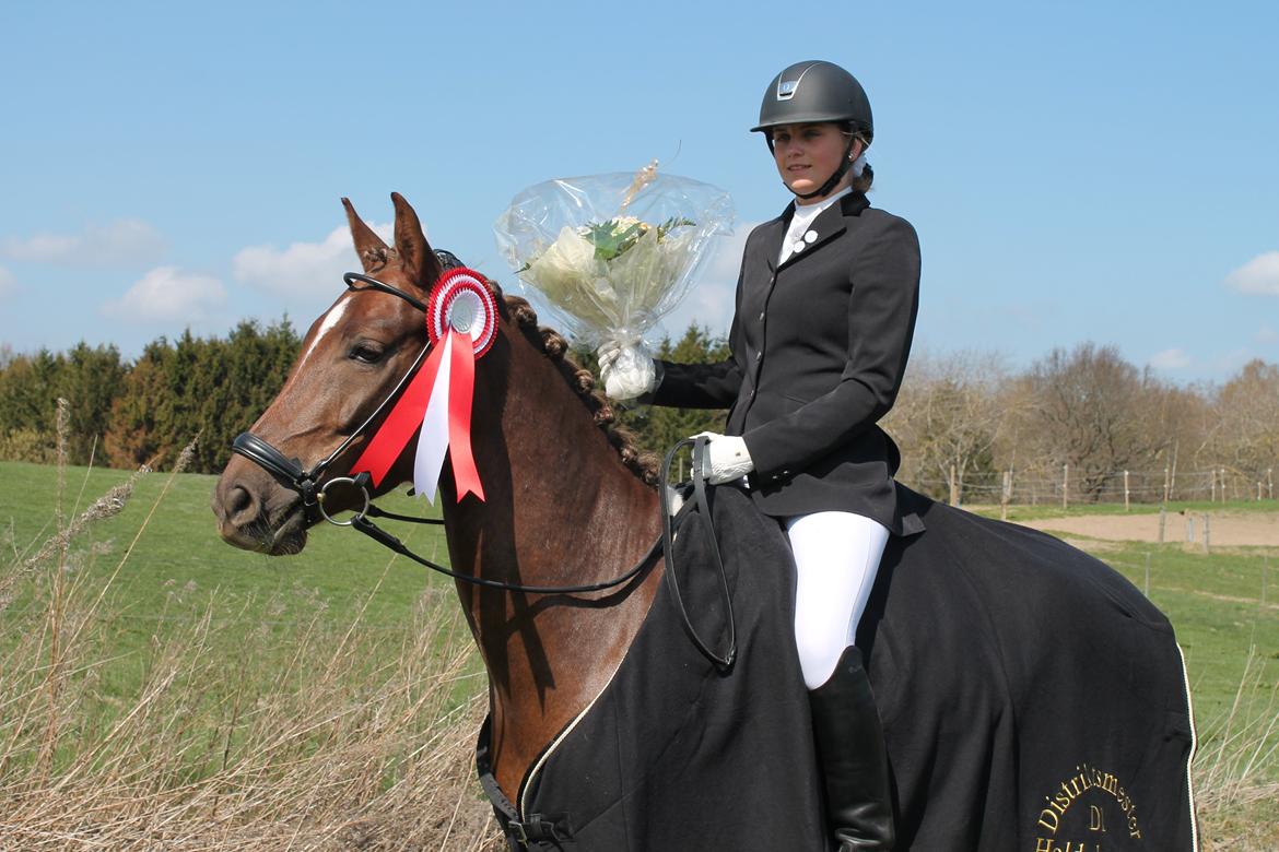 New Forest Jægersmindes Mel Gibson B-pony - Distriktmesterskab hold 2013 billede 13