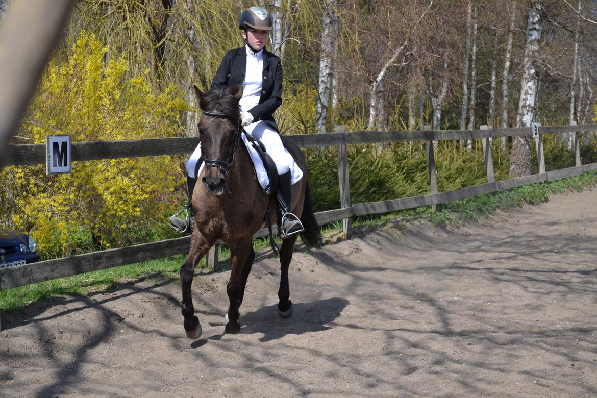 Anden særlig race Malou - Glemte at lukke jakken.. Foto: Eva billede 12