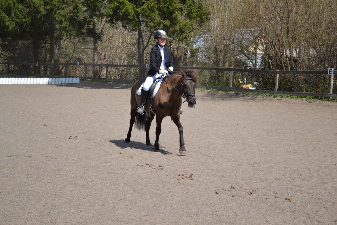 Anden særlig race Malou - Så er vi færdige! Foto: Eva billede 13
