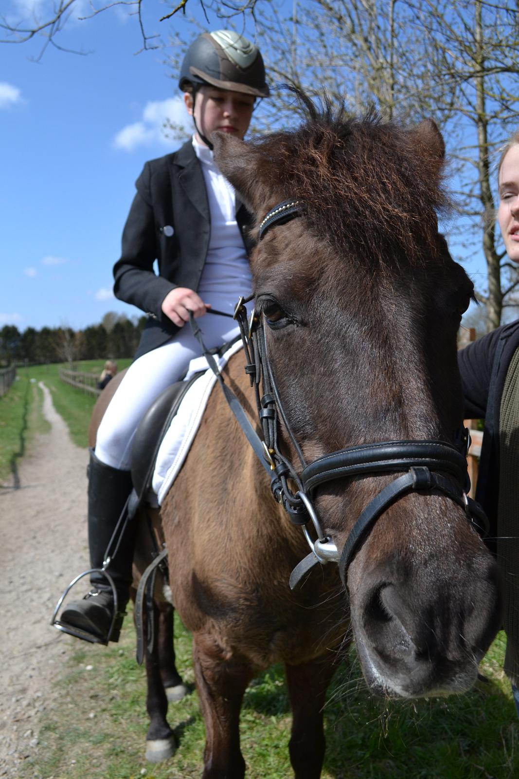 Anden særlig race Malou - Hvad så'e? Foto: Mor billede 14