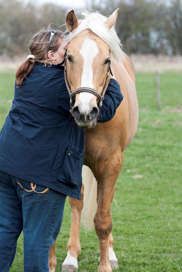 Palomino King's knight - 5-5-2013 Vi får lige en krammer :) billede 19