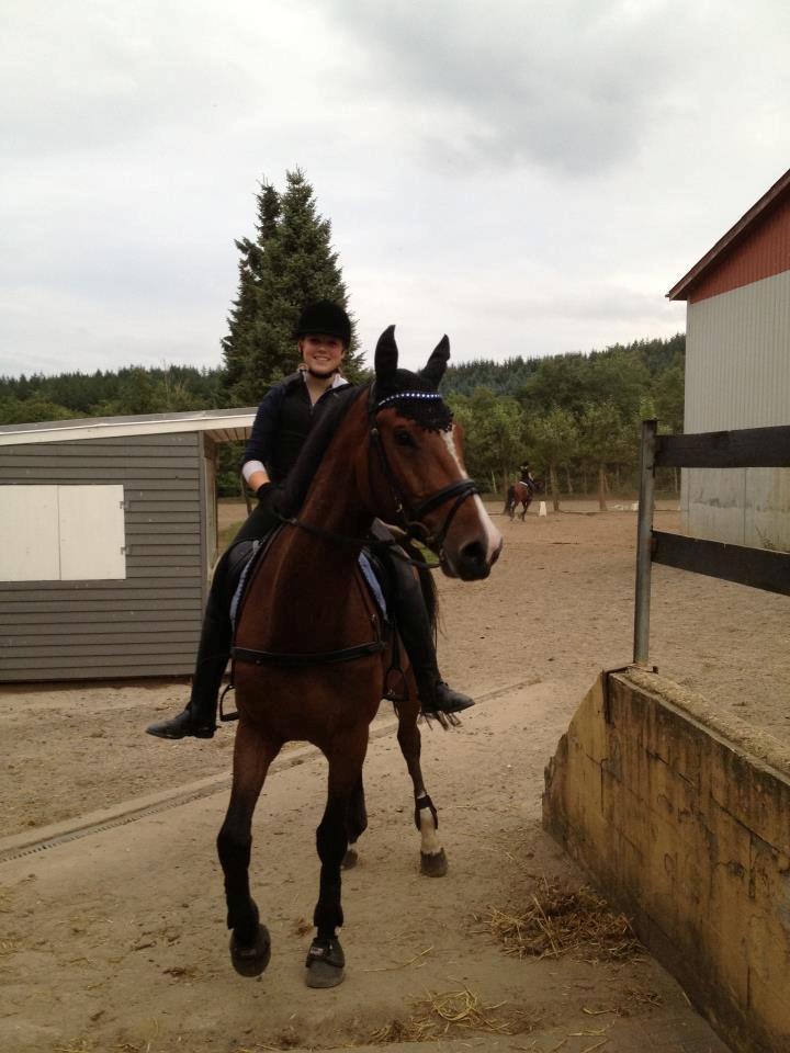 Dansk Varmblod Caribio - Cribbo og jeg efter en dejlig skovtur! <3 billede 10