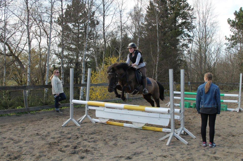 Anden særlig race Malou - Foto: Mira Tror jeg billede 17