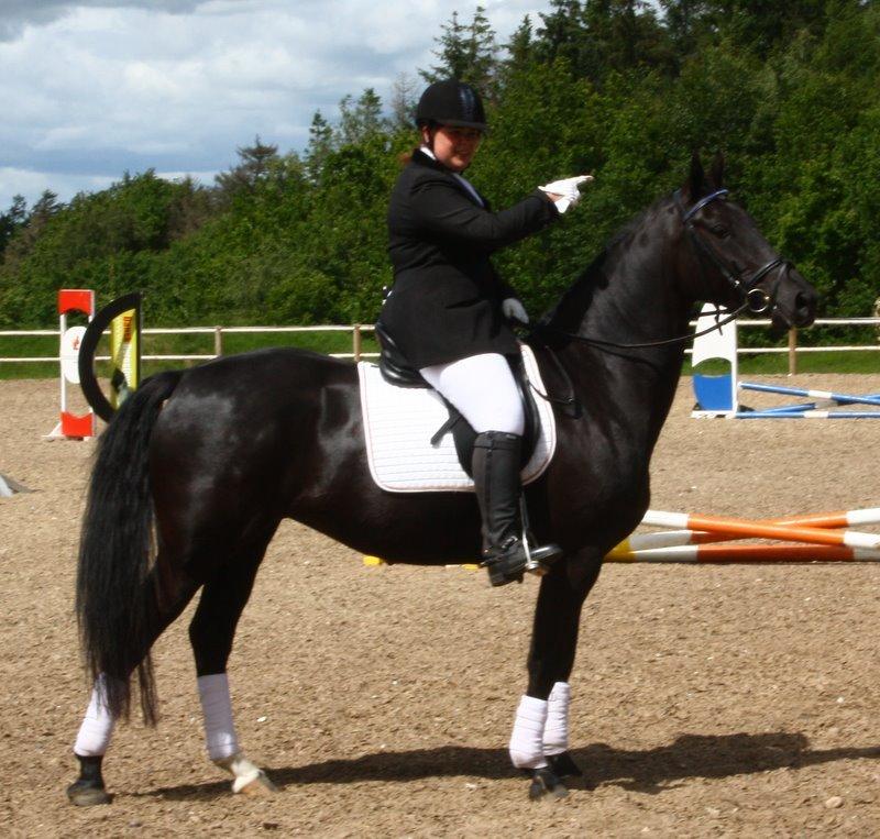 Oldenborg Yasmin - Og jeg kom selvfølgelig til at vise hende hvad hun skulle være bange for :s (foto: Helen Plejdrup) billede 2