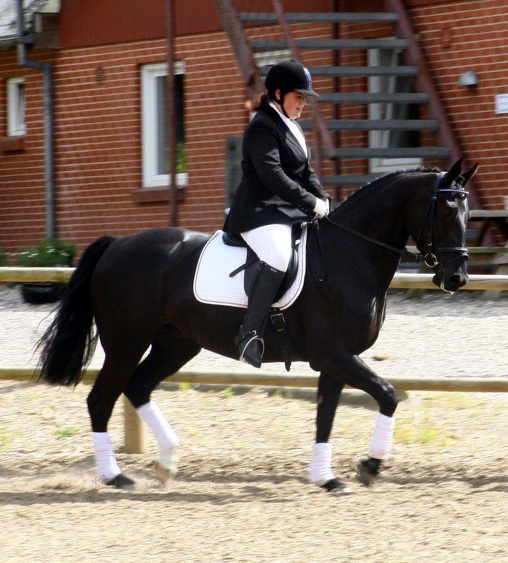 Oldenborg Yasmin - Så er det nu :) Jeg ved ikke hvem der er mest spændt, hesten eller mig? (foto: Helen Plejdrup) billede 4