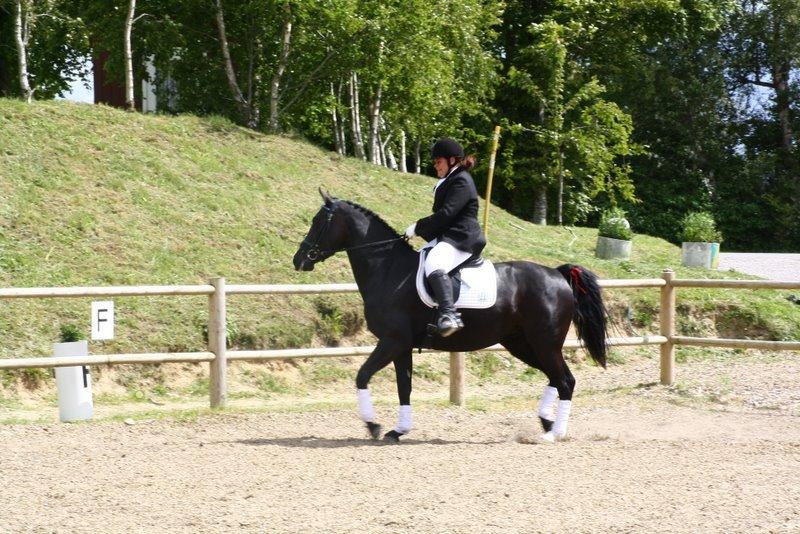 Oldenborg Yasmin - Nu fik Yasmin så øje på det farlige jeg viste hende før. Men ok, hun er kun 5 på det her tidspunkt (foto: Helen Plejdrup) billede 5