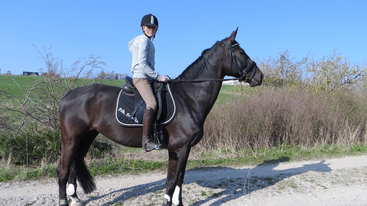 Oldenborg Faurholts Frk. Smilla billede 4