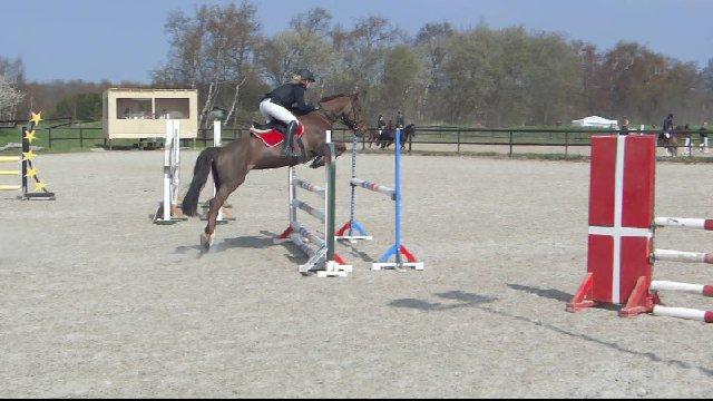 Anden særlig race Bambi - Første la, 0 fejl!<3 +lb 0 fejl. billede 15