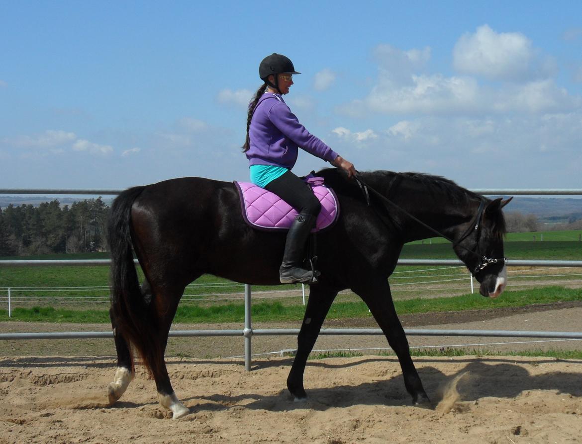 Anden særlig race Klitgaards Mr Big *R.I.P* - 3 gang på ryggen af stjernen, lægger sig allerede til fortil <3 billede 26