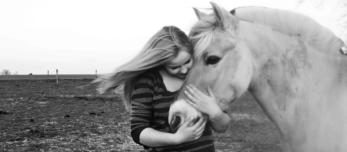 Fjordhest Prinds - Der findes intet så fantastisk som dig! :-* Maj 2013 [Foto: Trine Aakjær] billede 2
