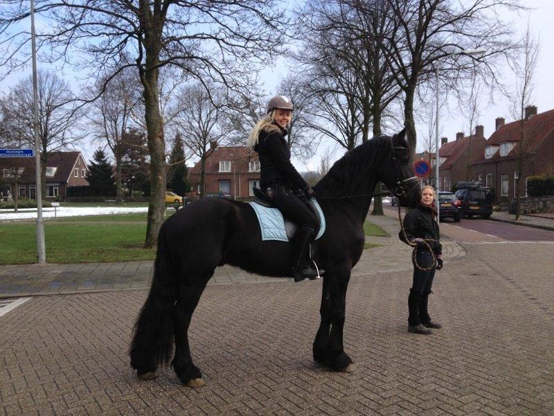 Frieser Crook billede 1