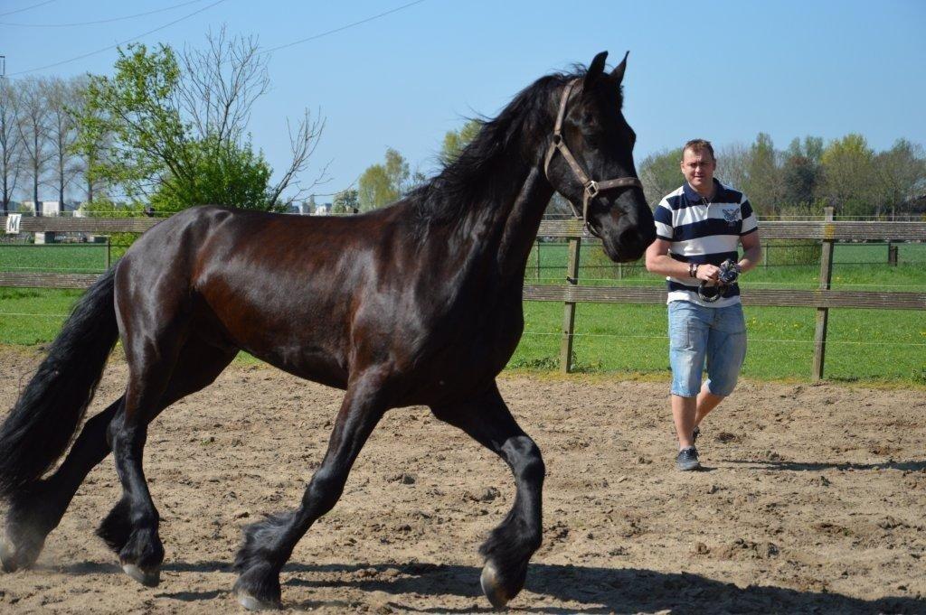 Frieser Crook billede 2