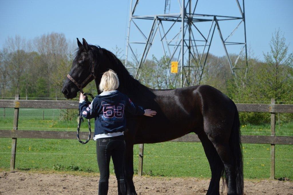 Frieser Crook billede 7