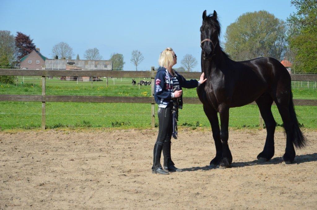 Frieser Crook billede 11