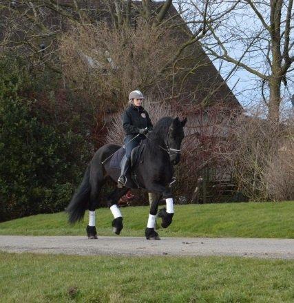 Frieser Crook billede 12