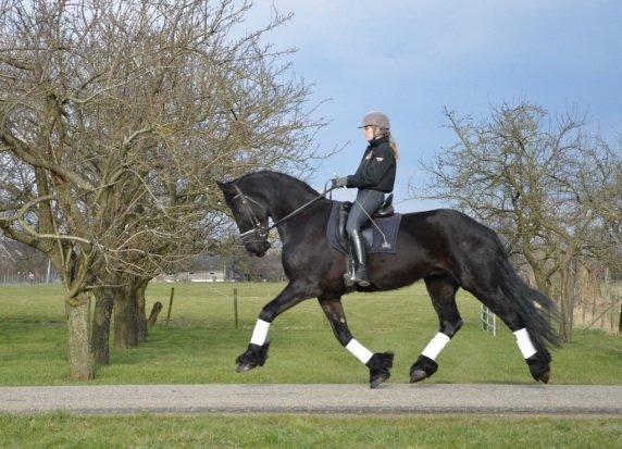 Frieser Crook billede 13