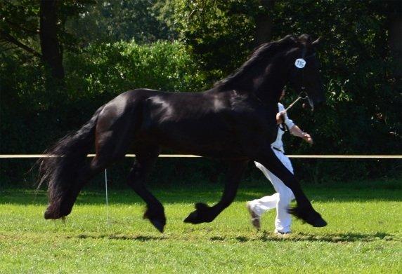 Frieser Crook billede 14