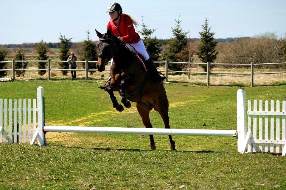 DSP Day-lights naomi - Derby vinder 2013!!<3
Billed: CHS PHOTO billede 42