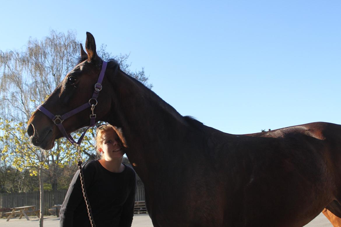 Anden særlig race Chanell - Lidt hygge <3 billede 2