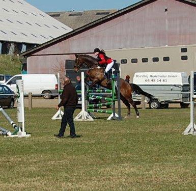 Dansk Varmblod Capriolé billede 12