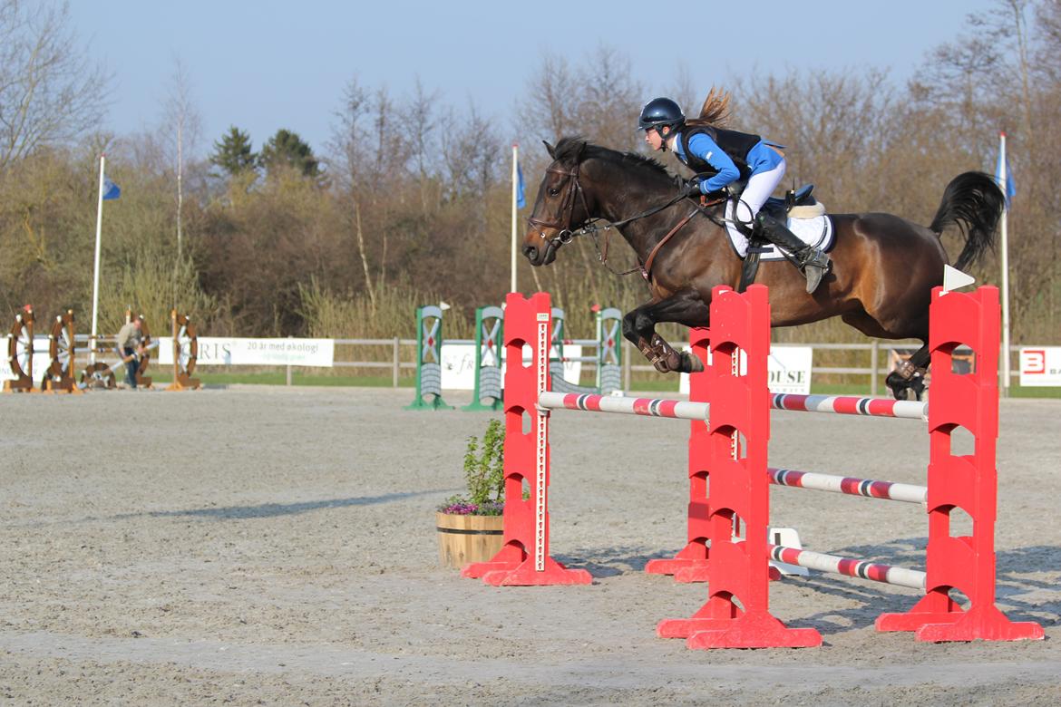 Irsk Sportspony Ebonys Star - Mig og Ebony til vores første stævne hvor vi startede S* billede 3