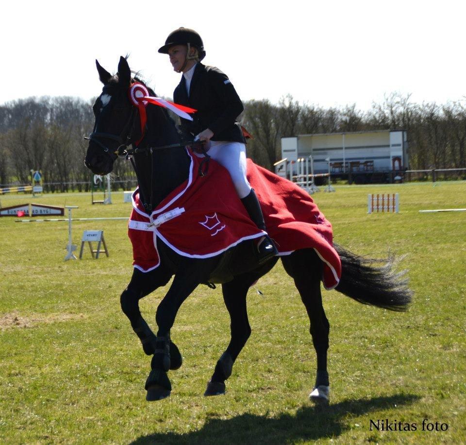Mecklenburger Napoleon - Vinder af LB**. - Nikitas foto. billede 11