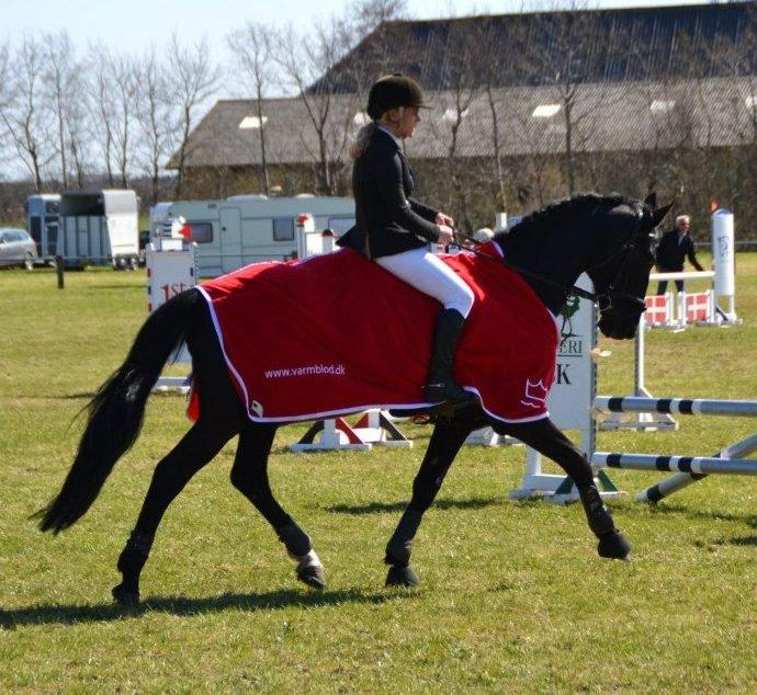 Mecklenburger Napoleon - - Nikitas foto. billede 15