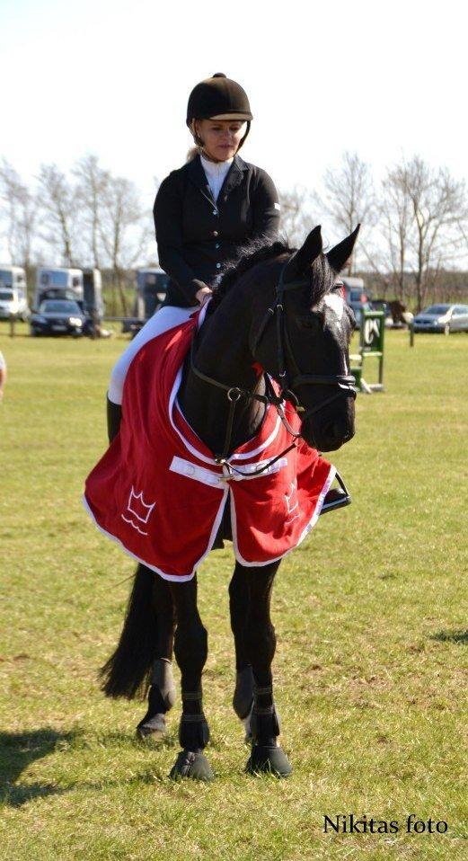Mecklenburger Napoleon - Præmieoverrækkelse. - Nikitas foto. billede 20