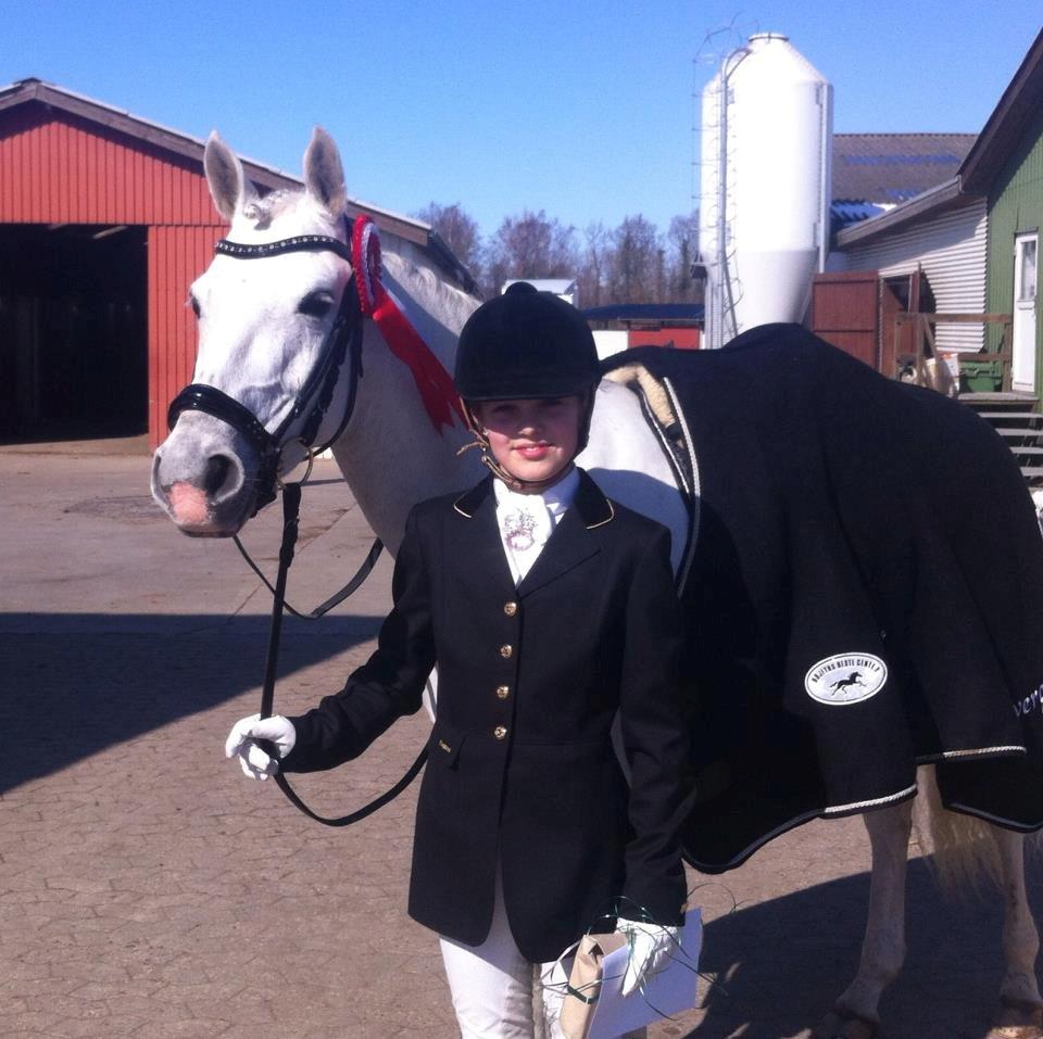 Hollandsk Sportspony Powergirl A-PONY - Hestehavens Rideklub. LA4 til 68% billede 13