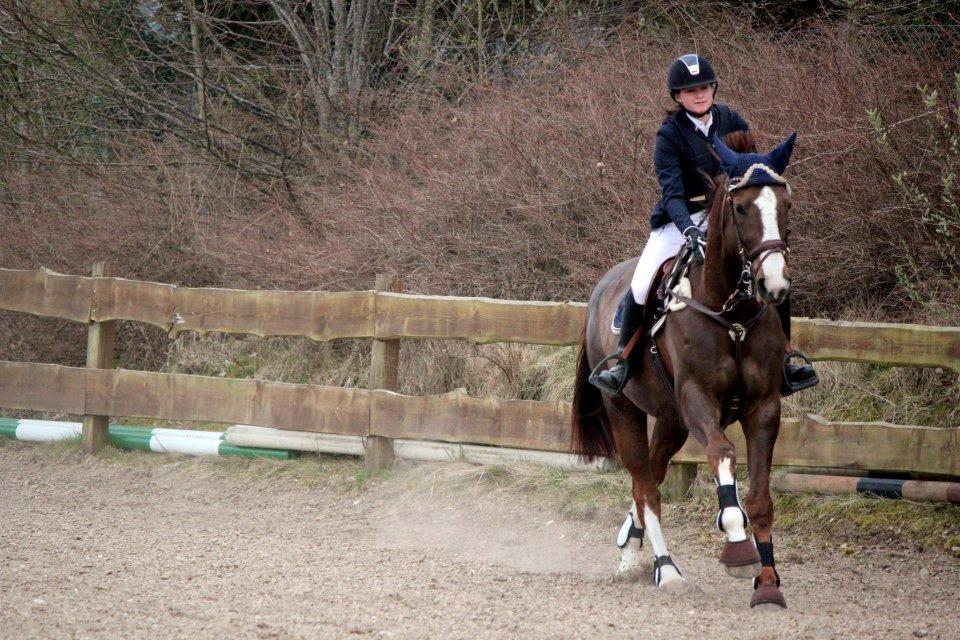 Belgisk varmblod D´Amour V/H Dennenhof - Stævne HYOR Foto : Cecile billede 29