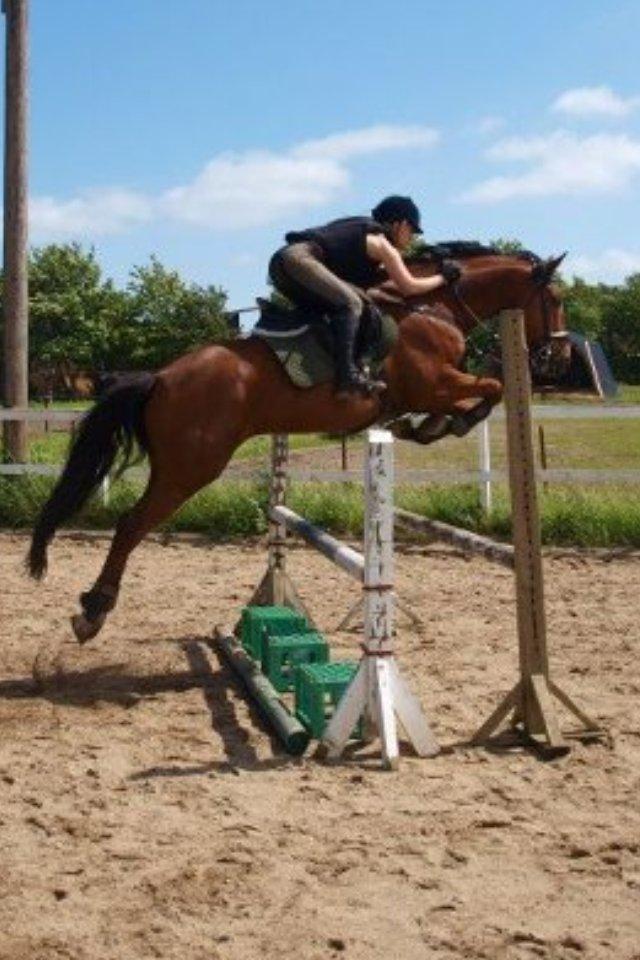 Holstener Odds - Odds'en i sommers! 
Foto: Lykke Andersen billede 4