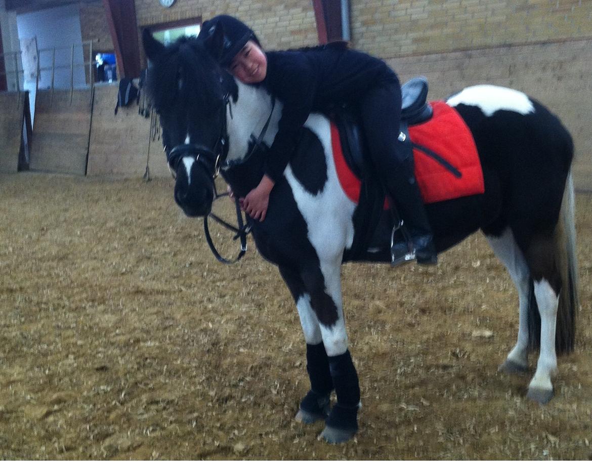 Anden særlig race Bonni billede 12