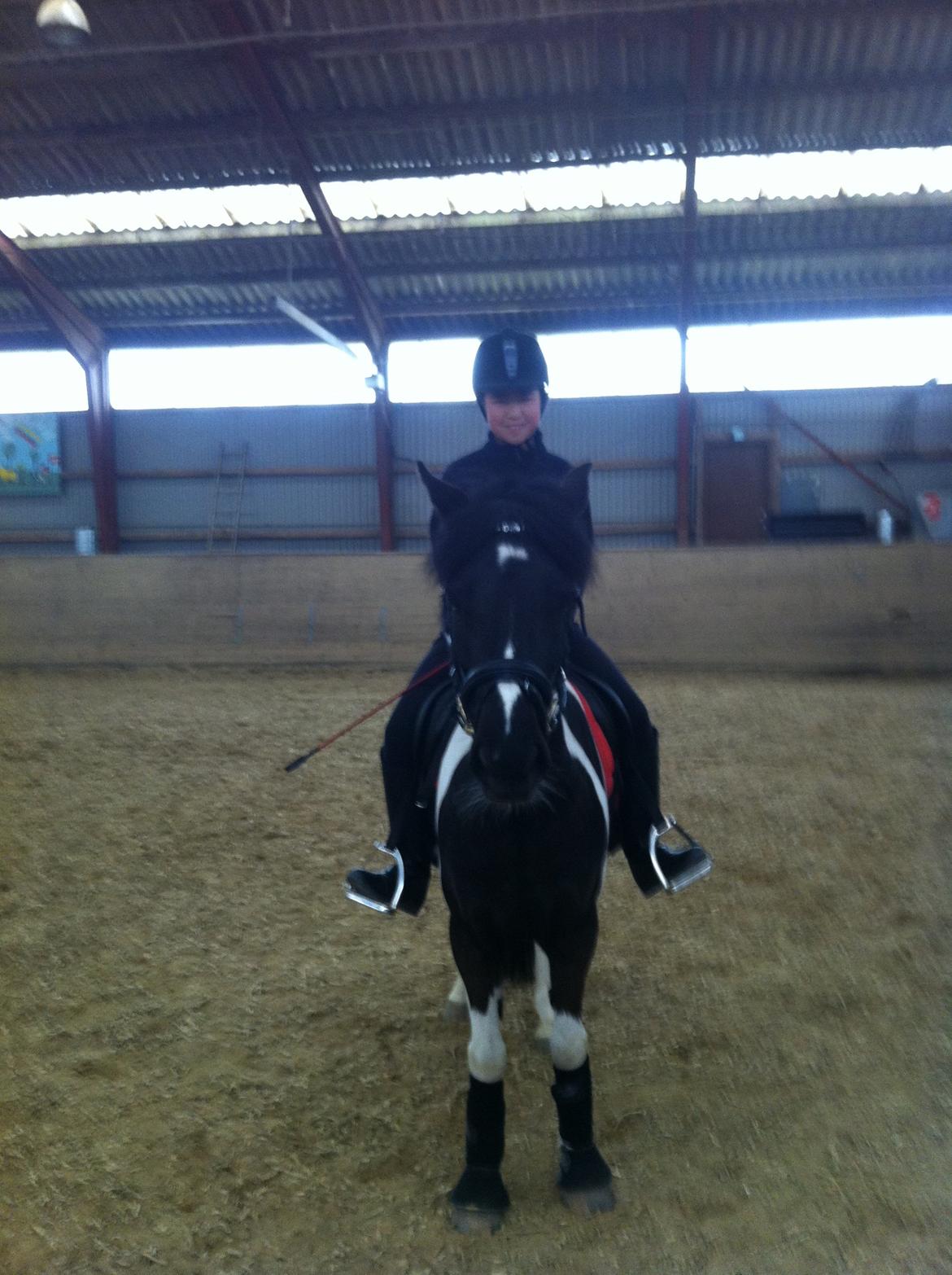 Anden særlig race Bonni billede 13