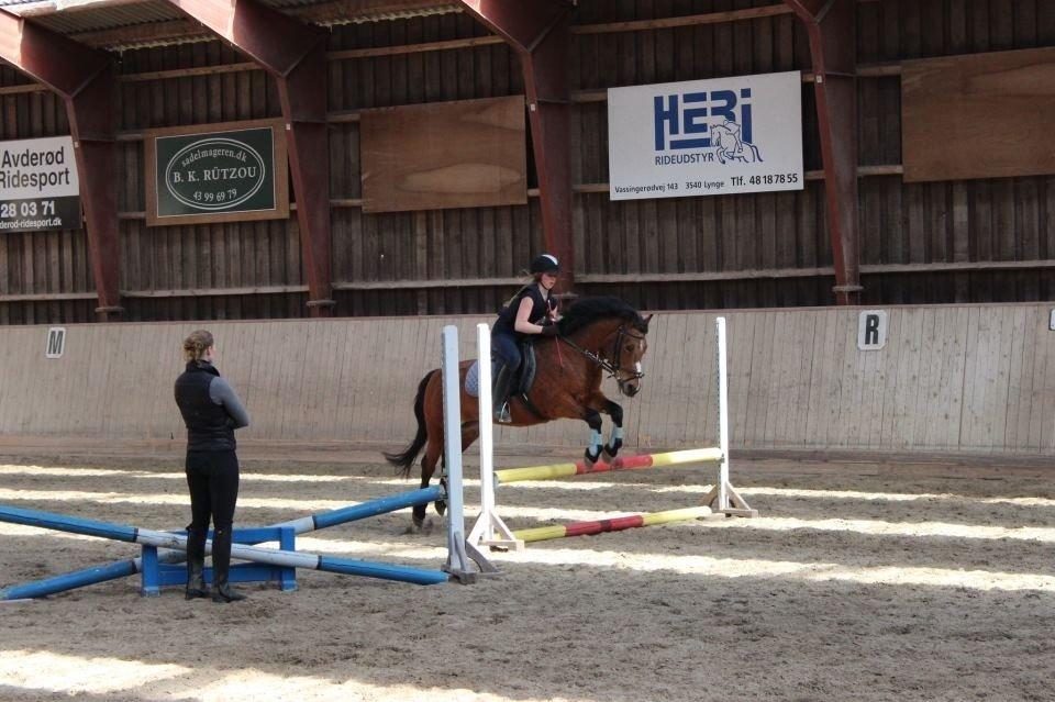 Anden særlig race Stjerne billede 5