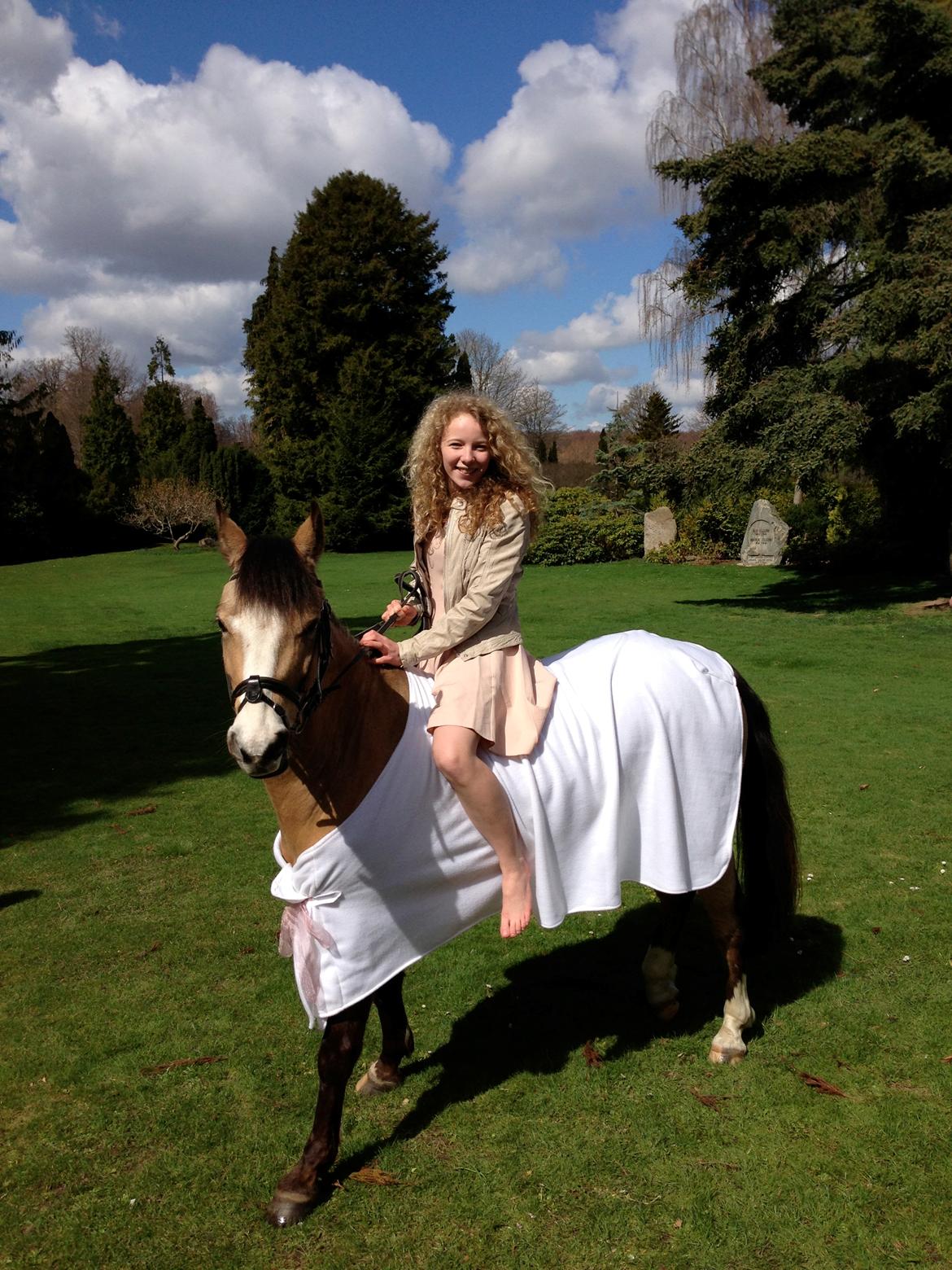 Welsh Partbred (Sec F) TIVALL <3 - Min konfirmation<3
April 2013 billede 19