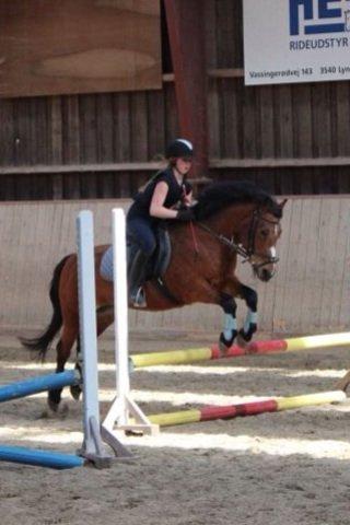 Anden særlig race Stjerne billede 6