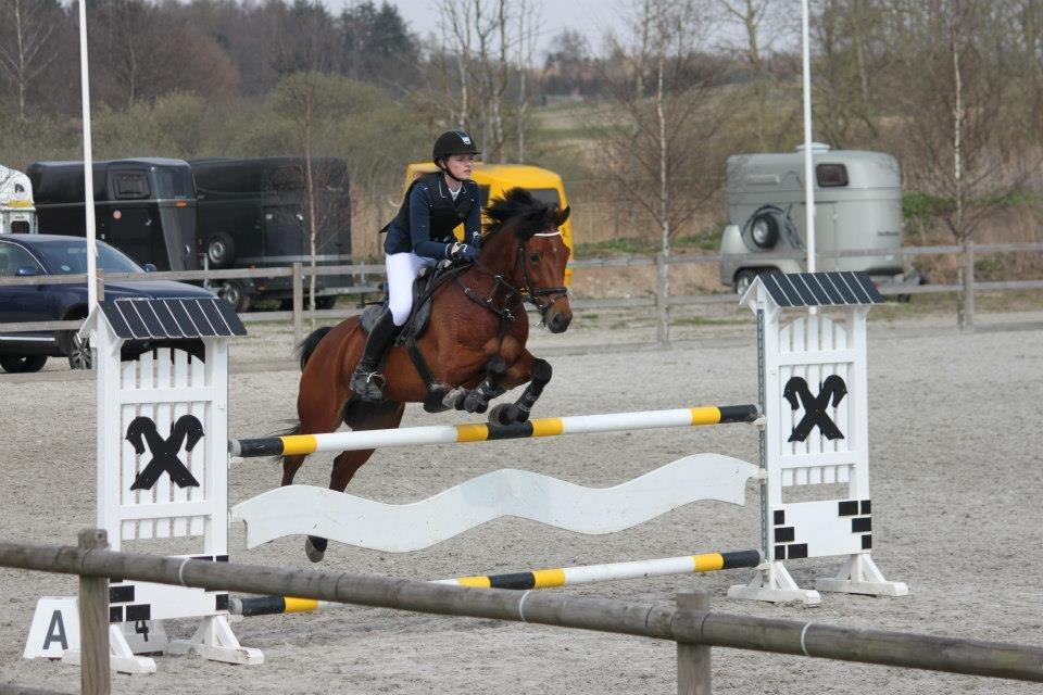 Anden særlig race Michelangelo - Landsstævne på Capacity 2013 billede 3