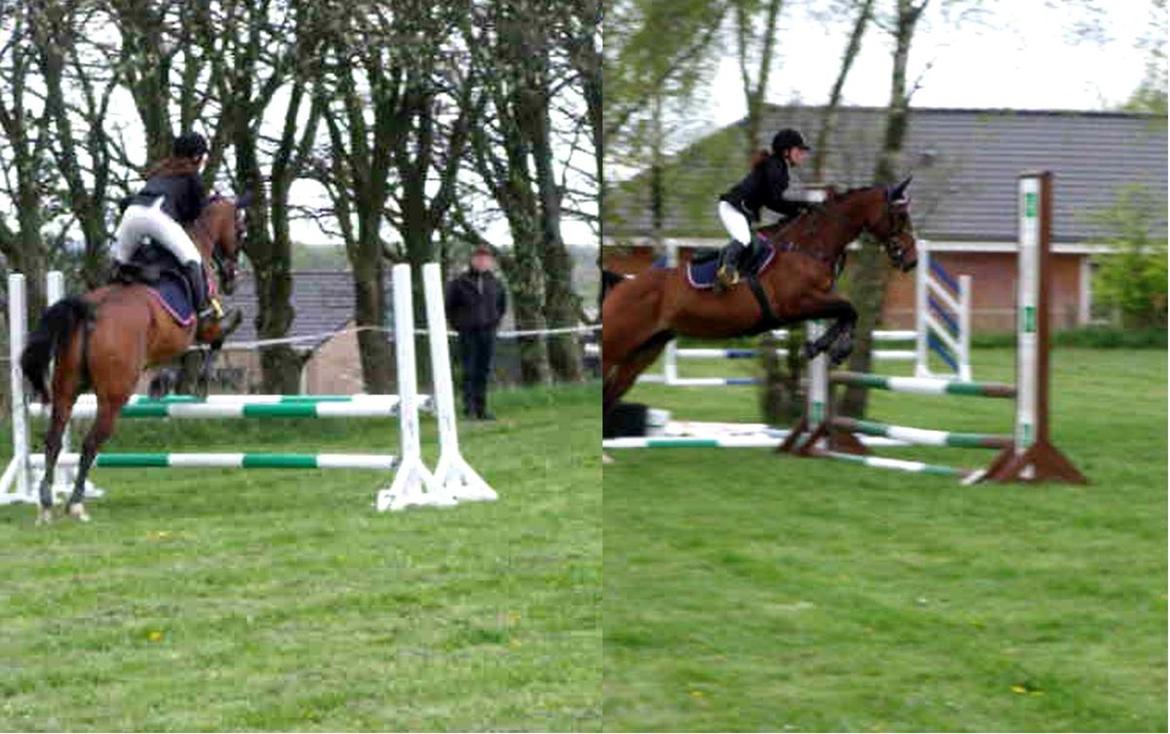 Dansk Varmblod Rikke*Stjerne* - Rikke og jeg i LF i Sabro den 6.maj 2012 :) billede 2