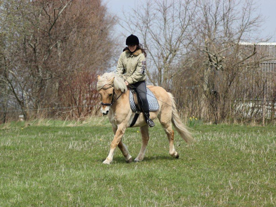 Anden særlig race Tøsen (-:. - Mig og Tøsen, forår 2013.
 billede 6