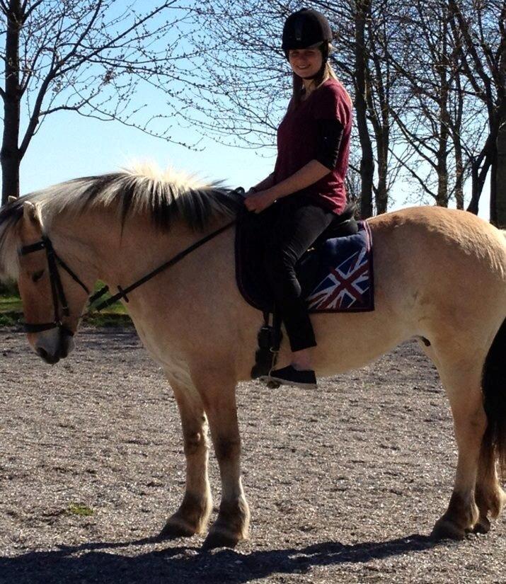 Fjordhest Blitten Mose <3 - Dressur træning i normalt tøj! :P Endelig et billede, hvor jeg sidder på hende!! :d <3 billede 13
