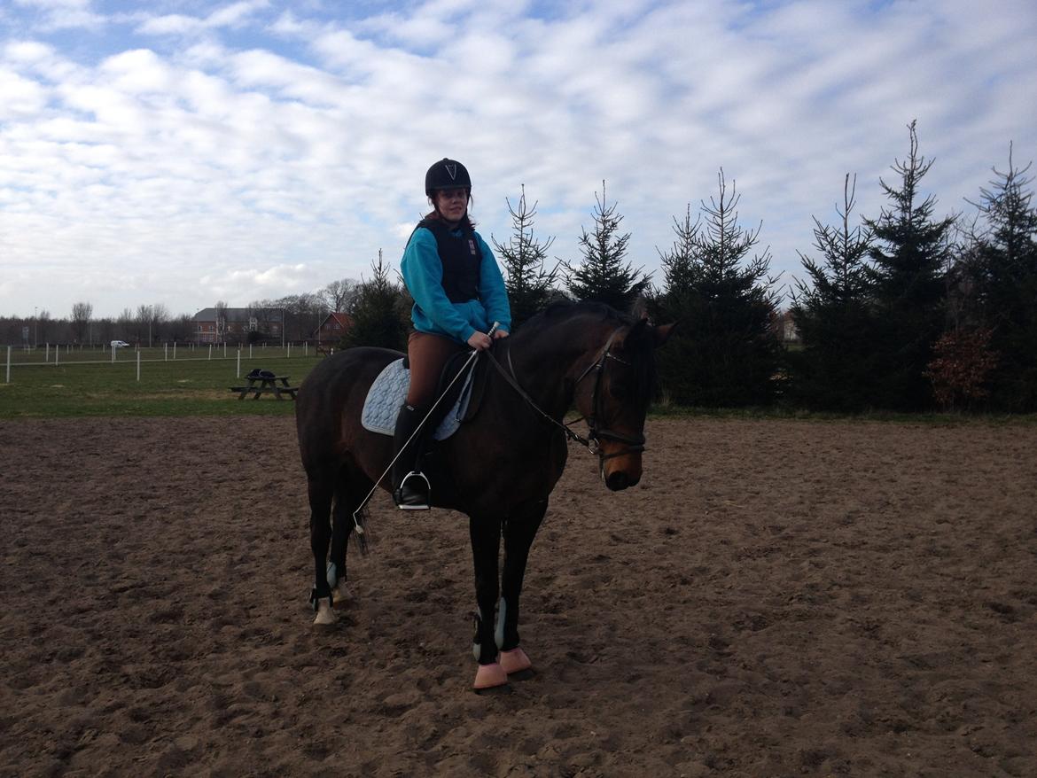 Anden særlig race prinsessé Nikita min baby <3 - glemmer aldrig vores springture prinsesse<3 billede 13