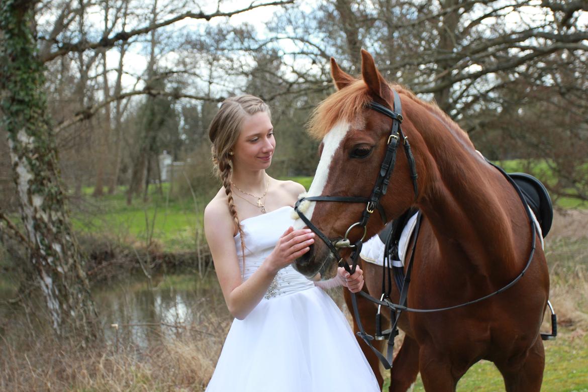 DSP Aagaards Beauty *B-pony* SOLGT  - Konfirmation 28/4 2013! <3<3<3<3 billede 16