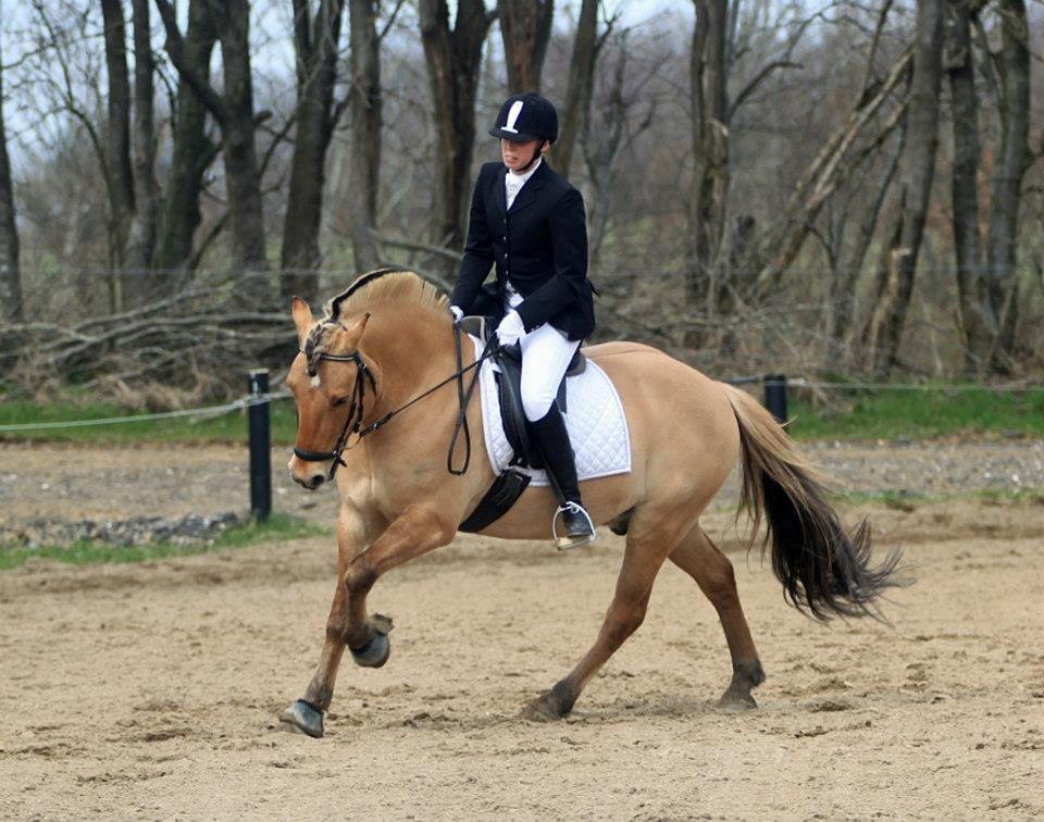 Anden særlig race Lukas - LC2 April 2013 billede 19