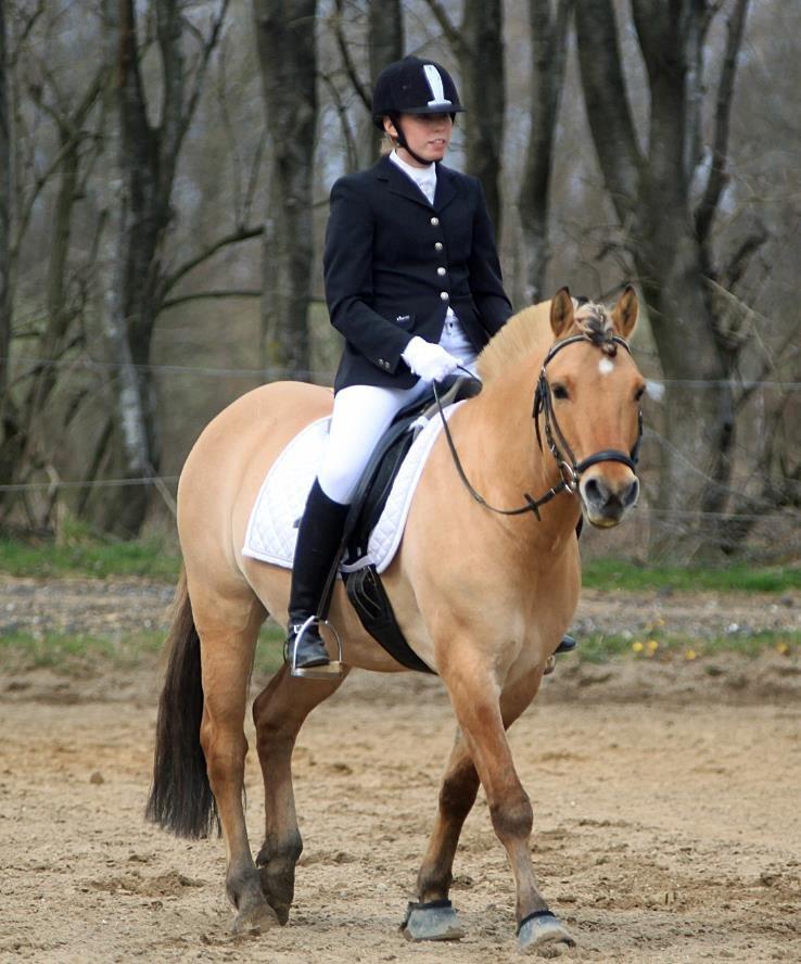 Anden særlig race Lukas - Stævne sabro april 2013 billede 3